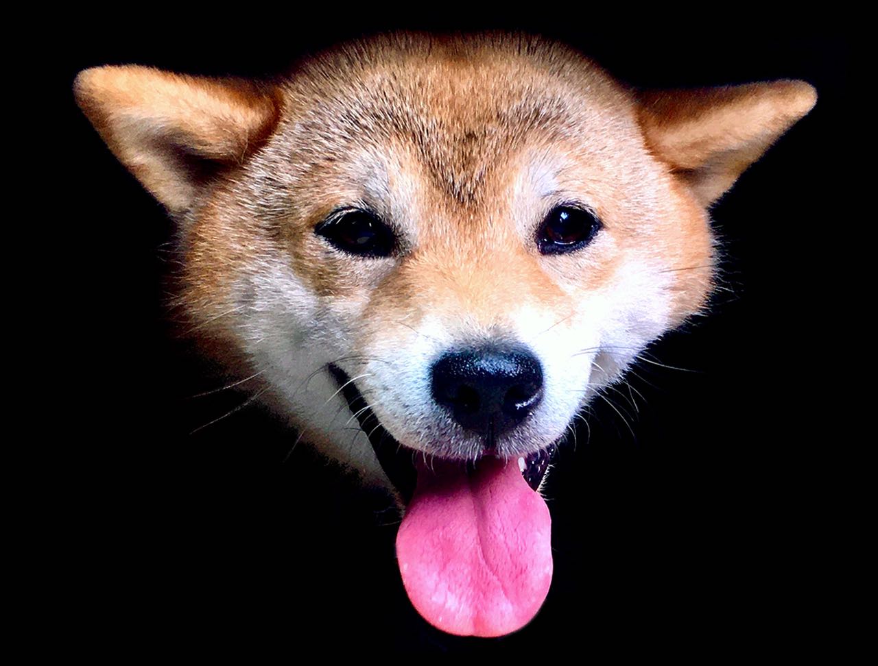 HANARI