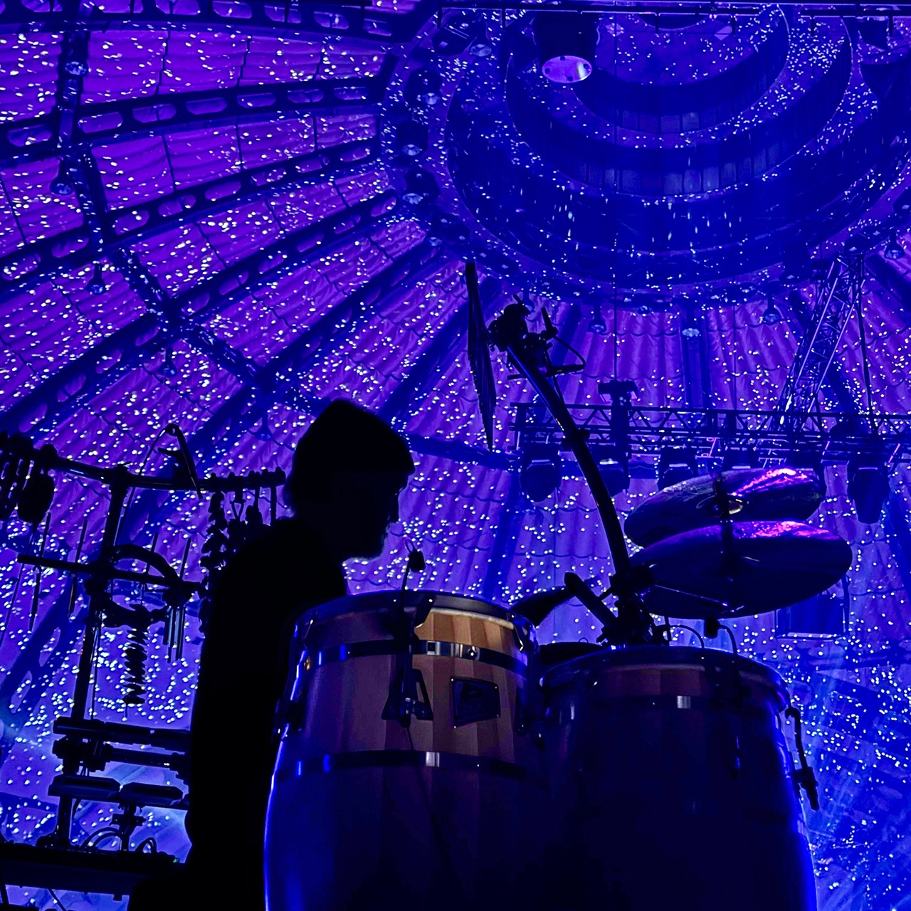 CONGAS