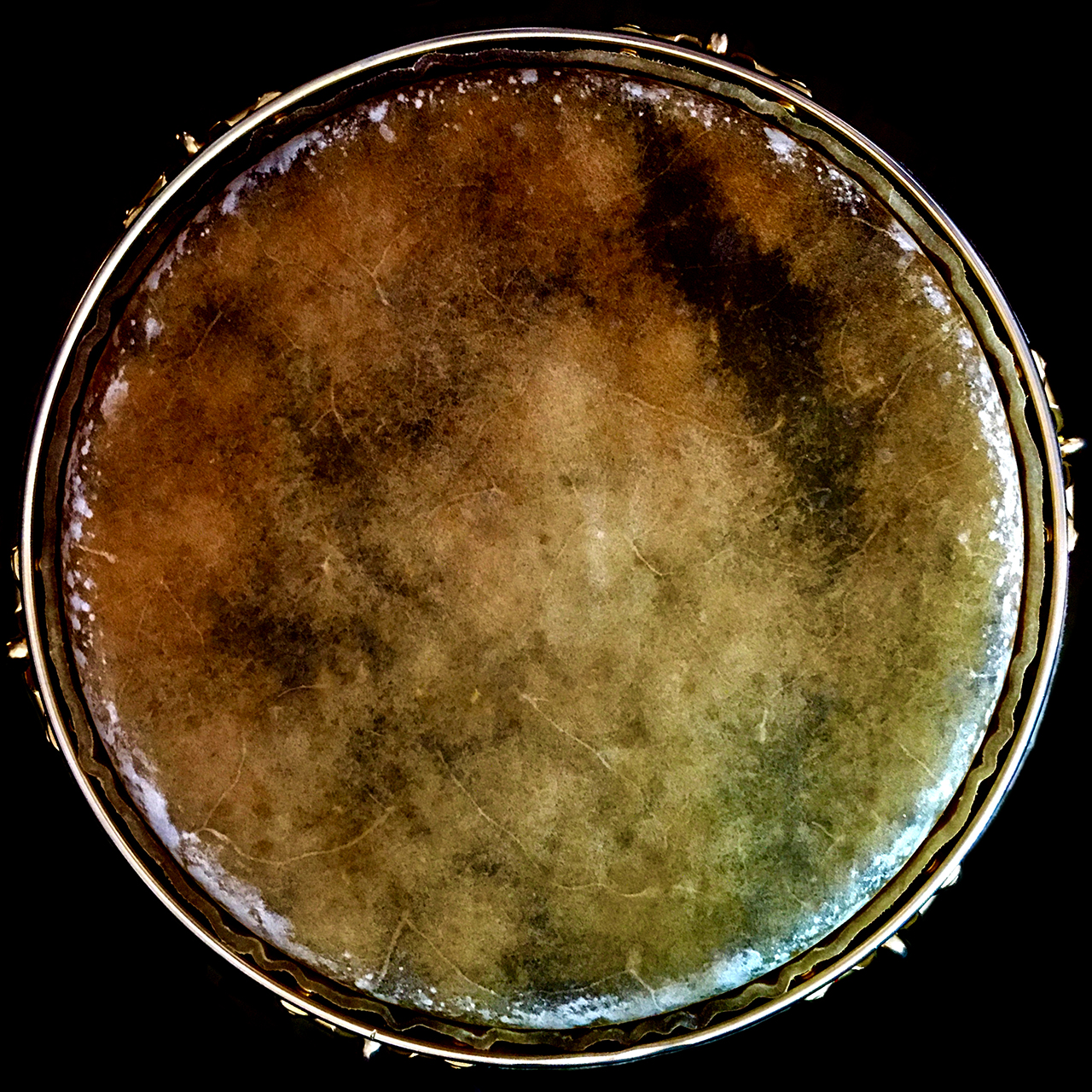 COLOBIA