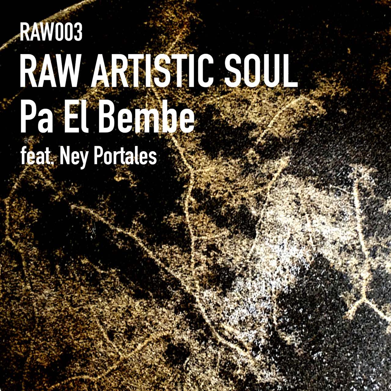 RAW003